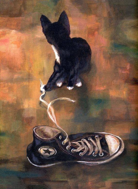 Sebastian & the Shoelace